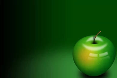 Natural Green Desktop Wallpapers