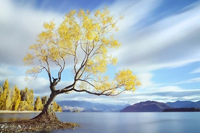 Nature Desktop Wide Wallpapers