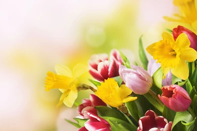 Spring_Flowers_Background.jpg?m=1399676400