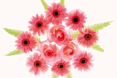 1600 The First Series Of Flowers Backgrounds 13720   Flower ...