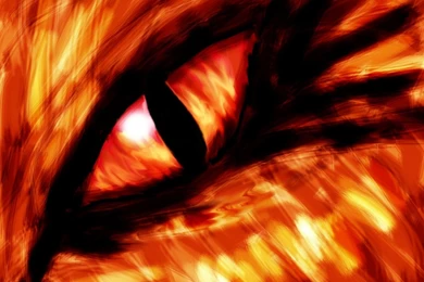 Kyuubi Wallpapers   Wallpapers Cave