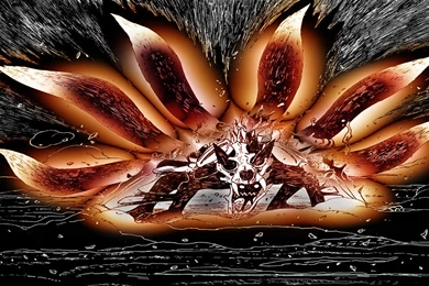 Jinchuuriki Kyuubi Naruto Shippuden Uzumaki Naruto Wallpapers ...