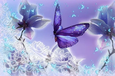 Butterfly Backgrounds Free Download