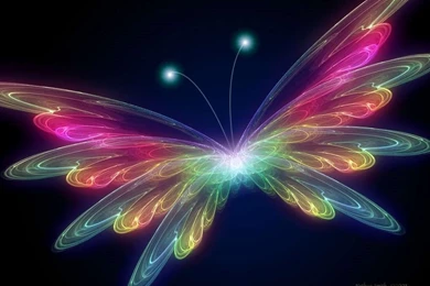 Free Butterfly Desktop Backgrounds   Wallpapers Cave