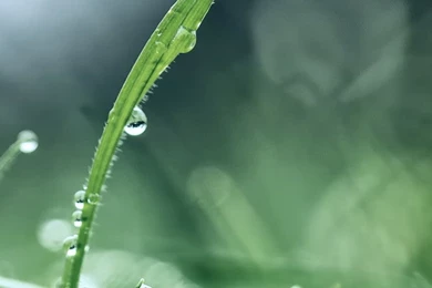 iPhone 6 Wallpapers HD, 100% Quality HD iPhone Wallpapers