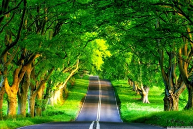 Beautiful Views Of Nature Wallpapers