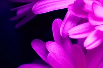 50+ Best HD Galaxy S6 And S6 Edge Wallpapers   Download   Graffies