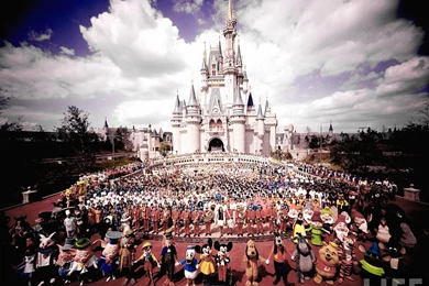 C 42.jpg?t=1254462982