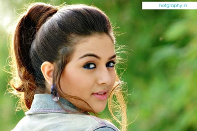 Hansika Motwani Hd Wallpapers – Billa Telugu Movie Actress