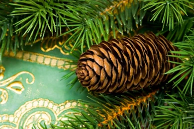 Christmas New Year Wallpapers 023, Free Desktop Wallpapers, Cool ...