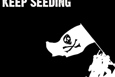 Top Hacker Indexes Hd Wallpapers Wallpapers