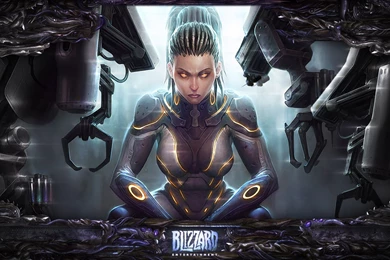 Starcraft Heart Of The Swarm Wallpaper_other_health Questions ...