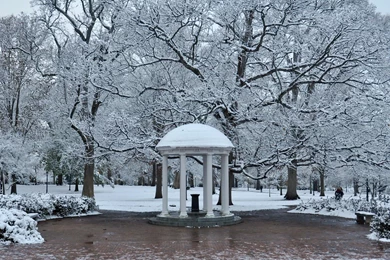 Holiday Scenes At ACC Campuses...   Printable Version