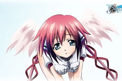 IKAROS WALLPAPER (