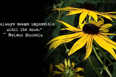 Daily Quotes Inspiration Quotes Superb Desktop Backgrounds ...