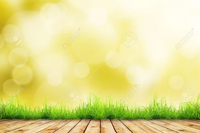 Natural Background Images
