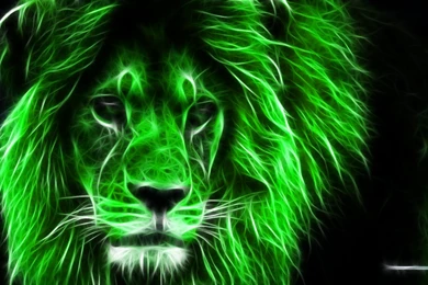 Download 3D Green Lion Wallpapers Free   HD Wallpapers Inn
