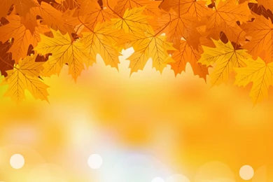 Natural background 5.jpg