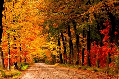 Country Fall Backgrounds Hd Country Farm Fall Backgrounds ...