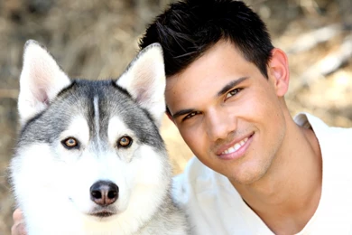 High Resolution Cool Celebrity Taylor Lautner Wallpapers HD 5 Full ...
