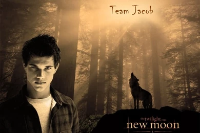 Wallpapers Taylor Lautner Jacob Black Fanpop 800x600