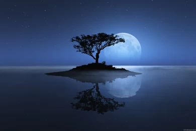 Free Wallpapers 5fb   HD Wallpapers