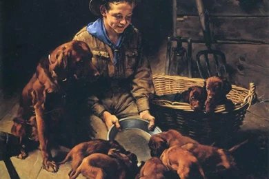 Norman Rockwell Desktop Wallpapers