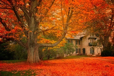 Administration Bldg On Norman Rockwell Museum Grounds   Pixdaus