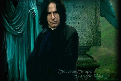 SEVERUS27   Severus Snape Wallpapers (6408934)   Fanpop