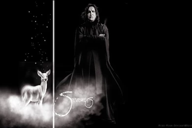 Browsing Wallpapers On DeviantArt