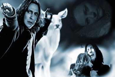 Browsing Wallpapers On DeviantArt