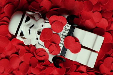Star Wars Flowers Stormtroopers American Beauty Legos Rose Petals ...