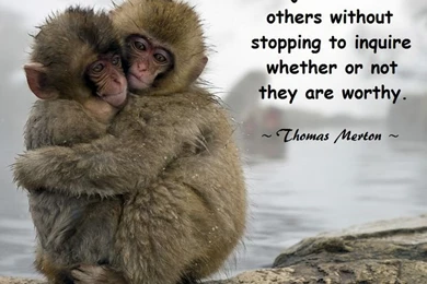 Inspiring Wallpapers With Inspiring Thoughts