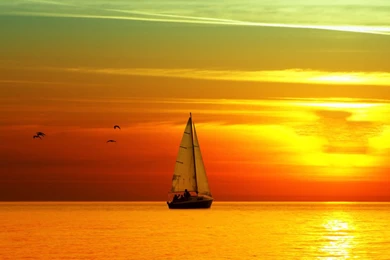 Galaxy Tab 7 Wallpapers