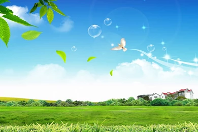 Free Backgrounds Wallpapers » WallDevil   Best Free HD Desktop And ...