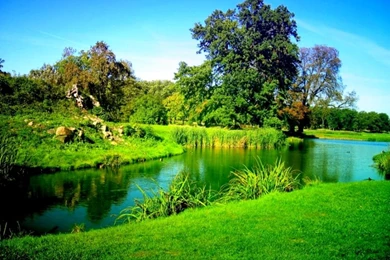 Landscape Backgrounds Free