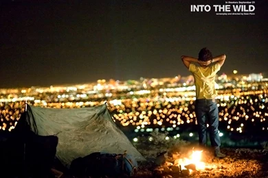 Into The Wild Wallpapers