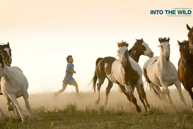 7 Into The Wild HD Wallpapers