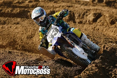 Wednesday Wallpapers