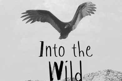 ➳➳➳☮American Hippie Art   Into The Wild Wallpapers