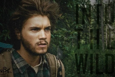 Into The Wild [1920x1080] : Wallpapers