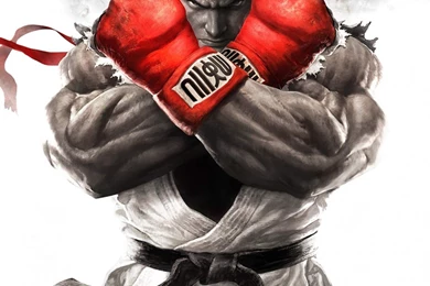Download Ryu   Street Fighter HD Wallpapers For iPad Mini ...