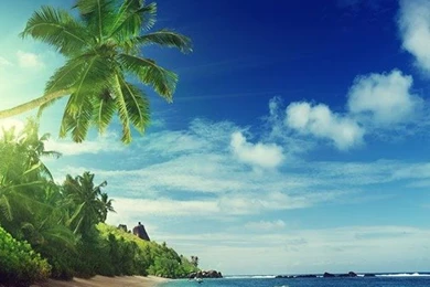 Beach Live Wallpapers   Android Apps On Google Play