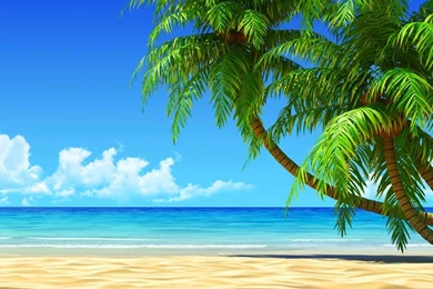 Beach Live Wallpapers   Android Apps On Google Play