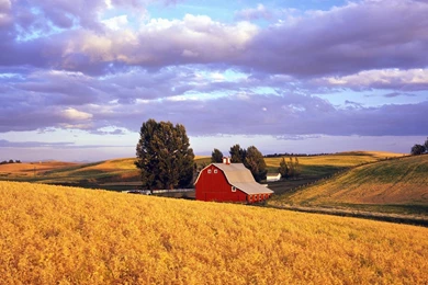 Nature Red Barn Washington Wallpapers