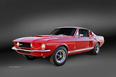 1967 Ford Mustang Muscle Car Wallpapers   Shelby GT500   1440_08
