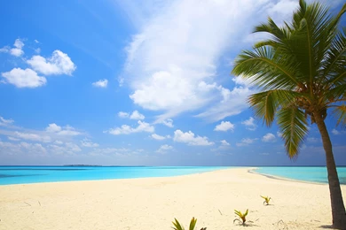 Beach Backgrounds Wallpapers   1131134