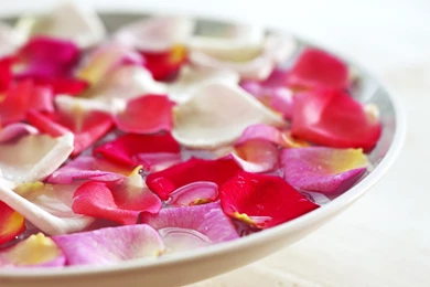 Flower Petal Wallpapers