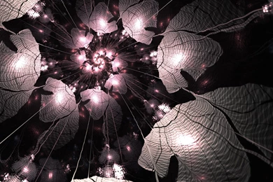 Spiraling Flower Petals Wallpapers   HD Great Images