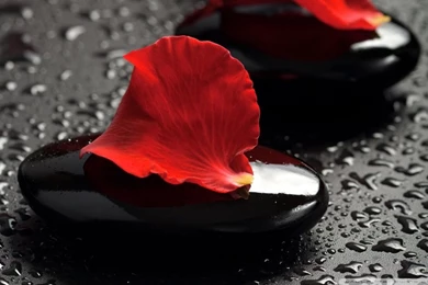 Zen Stones And Rose Petals HD Desktop Wallpapers : High Definition ...